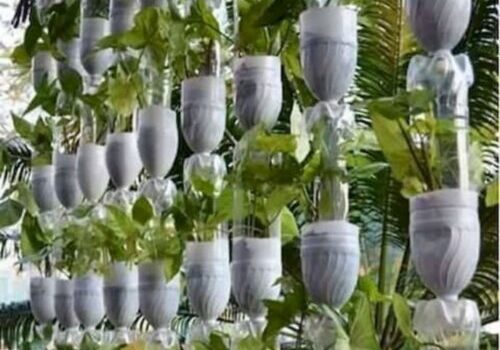 como-hacer-jardines-verticales-botellas-plastico